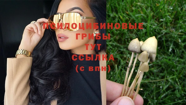 героин Алзамай