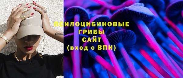 PSILOCYBIN Абаза