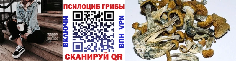 что такое   Октябрьский  Галлюциногенные грибы ЛСД 