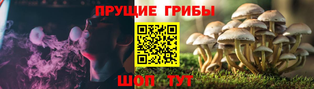 Октябрьский  Псилоцибиновые грибы MAGIC MUSHROOMS  Псилоцибиновые грибы MAGIC MUSHROOMS  Вход с VPN 