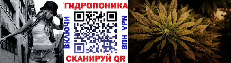 Конопля индика  где купить наркоту  Октябрьский 